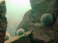   farne islands blue caps dive  